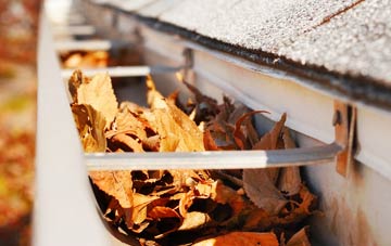 Forder gutter cleaning companies